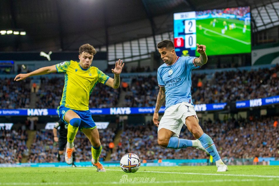 城市整体的 城市整体的